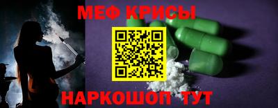 СК Бердск