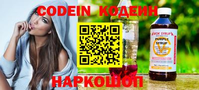 СК Бердск