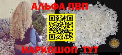 СК Бердск