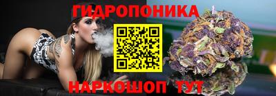 СК Бердск