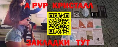 СК Бердск