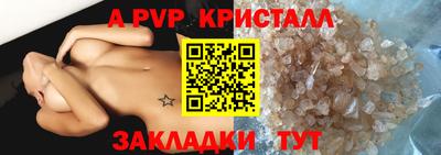 СК Бердск