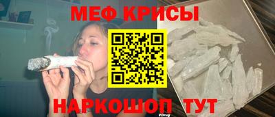 СК Бердск