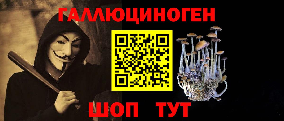 хочу наркоту  Вход с VPN  Каменск-Шахтинский  Галлюциногенные грибы MAGIC MUSHROOMS  Псилоцибиновые грибы Cubensis 